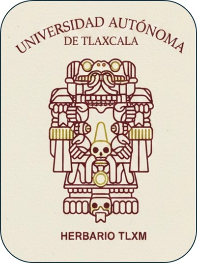 Logotipo Herbario